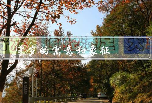 守岁的寓意和象征（新年的开始、家庭的团聚、财富与健康的祈福）