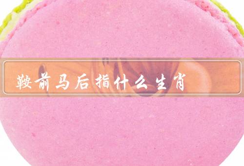 鞍前马后指什么生肖（狗、猪、兔子）