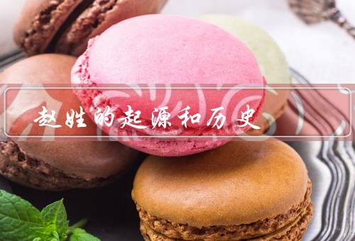 赵姓的起源和历史（起源／历史／代表人物）
