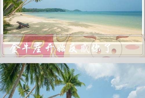 金牛座开始反感你了（自私／不诚实／不稳定）