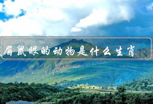 贼眉鼠眼的动物是什么生肖，什么是贼眉鼠眼／生肖中的贼眉鼠眼动物