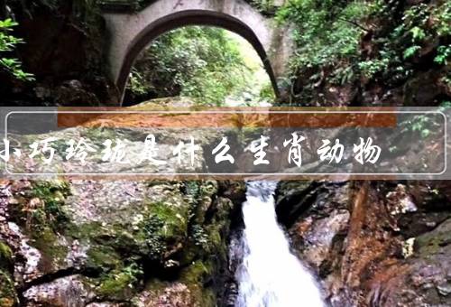 小巧玲珑是什么生肖动物，小巧玲珑／聪明敏捷／优雅自信