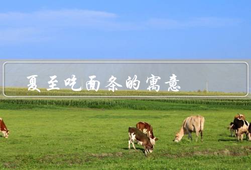 夏至吃面条的寓意，形状如同长寿／寓意团圆／象征祈福