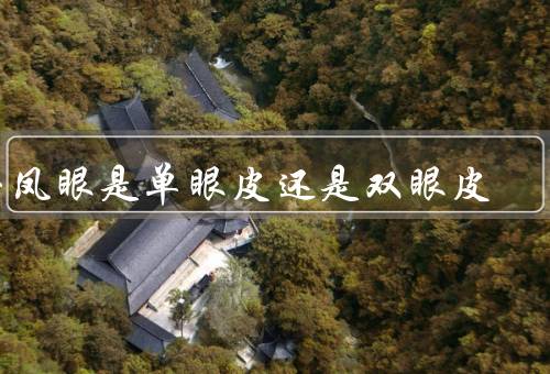 丹凤眼是单眼皮还是双眼皮（定义、眼睑的形态、与眼睑形态的关系）