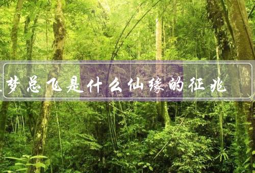 做梦总飞是什么仙缘的征兆（飞行的意义、总飞的原因、如何理解总飞）