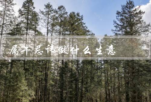 属牛忌讳做什么生意，财务投资／高风险行业／技术含量较高的行业