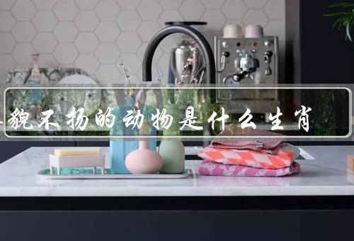 其貌不扬的动物是什么生肖，龙、猴、猪