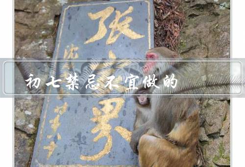 初七禁忌不宜做的（剃头、烧纸、扫地）