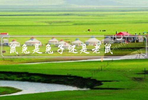 鼠兔是兔子还是老鼠，特征／习性／归属