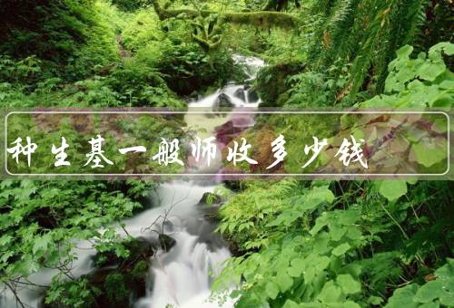 种生基一般风水师收多少钱（费用因素／标准／范围）