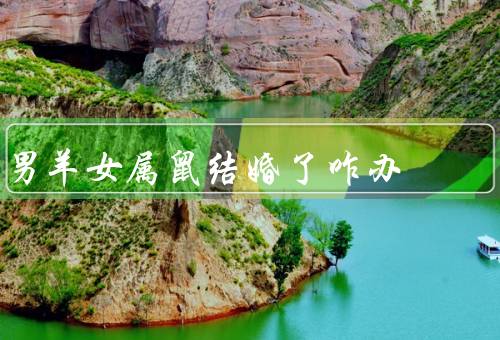 男羊女属鼠结婚了咋办（性格差异的处理、共同兴趣的培养）
