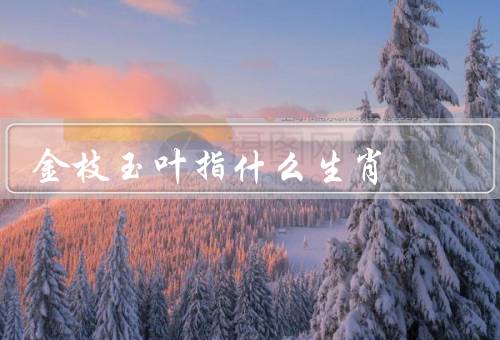 金枝玉叶指什么生肖，金牛座、龙、兔