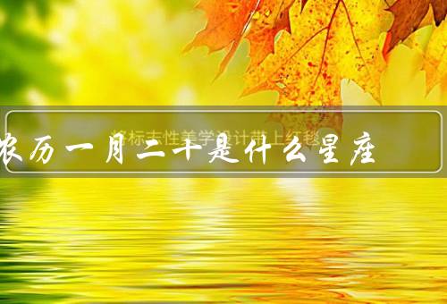 农历一月二十是什么星座（特点／爱情观／职业选择）