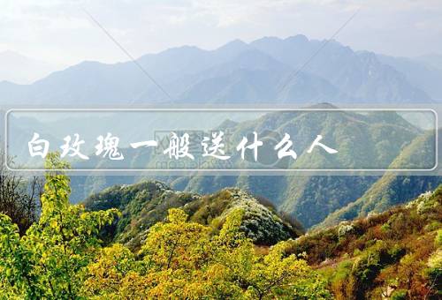 白玫瑰一般送什么人，母亲、恋人、朋友