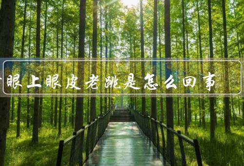 右眼上眼皮老跳是怎么回事，老年人眼皮跳动的原因