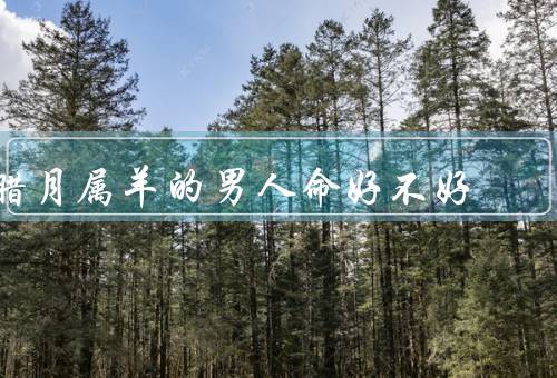 腊月属羊的男人命好不好（才华横溢、情感丰富、追求稳定）