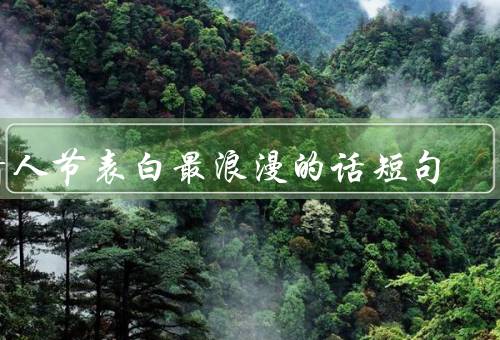 情人节表白最浪漫的话短句，爱你如初、心有所属、情深意浓