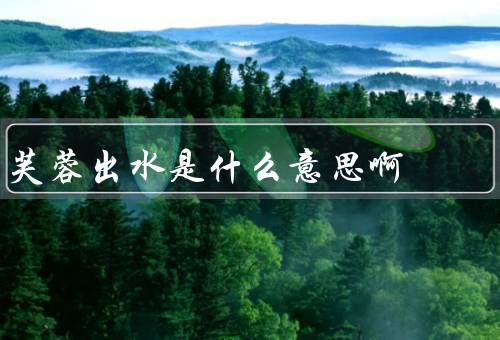 芙蓉出水是什么意思啊（典故、意义、使用场景）