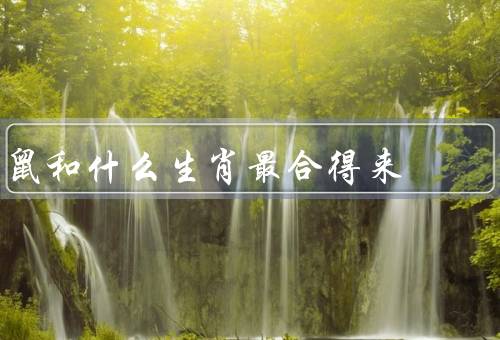 鼠和什么生肖最合得来，鼠牛同行／友谊长存／携手共进