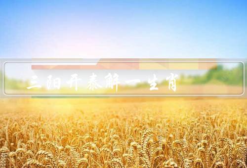 三阳开泰解一生肖，三阳开泰的含义／解一生肖的原理