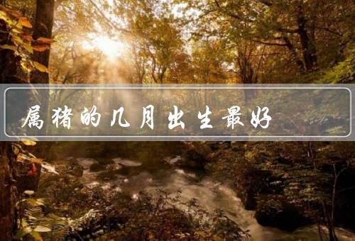 属猪的几月出生最好（热情活跃／幸运指数高／聪明智慧）