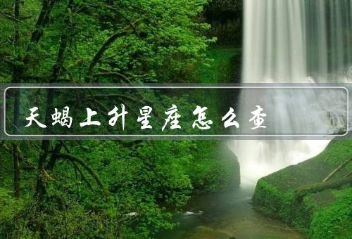 天蝎上升星座怎么查（出生时间、星盘计算、咨询专业人士）