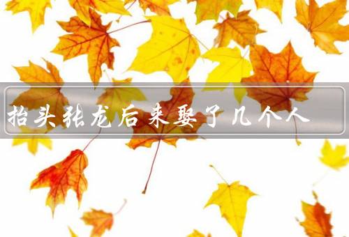 龙抬头张龙后来娶了几个人，小红／小芳／小婷