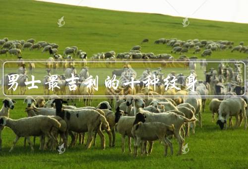 男士最吉利的十种纹身，龙纹身／麒麟纹身／凤纹身