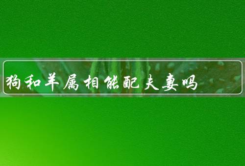 狗和羊属相能配夫妻吗（性格特点、相处模式、情感表达）