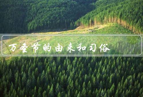 万圣节的由来和习俗，起源／习俗／意义