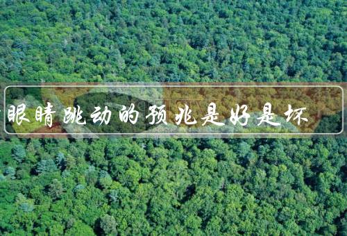 右眼睛跳动的预兆是好是坏（科学解释／文化解释／医学解释）