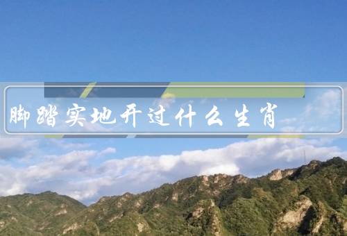 脚踏实地开过什么生肖，鼠／牛／猪