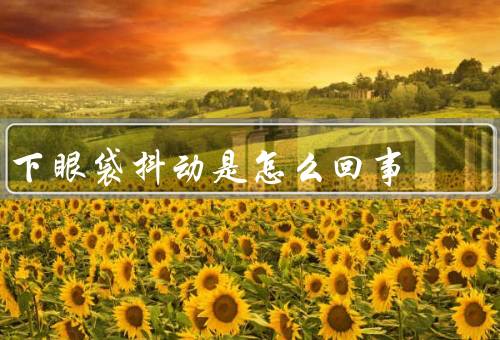 下眼袋抖动是怎么回事（肌肉疲劳／血液循环不良／肌肤松弛）