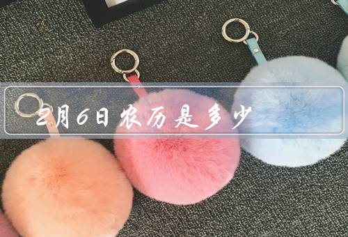 2月6日农历是多少，农历二月初一／春节／传统习俗