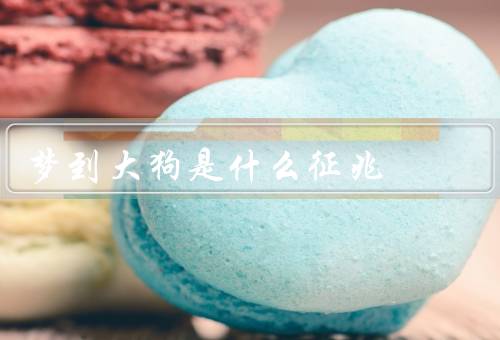梦到大狗是什么征兆 女性，自信和权威／保护和忠诚／情感和直觉