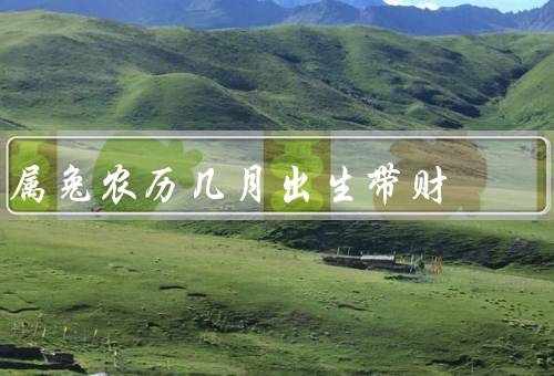 属兔农历几月出生带财，聪明才智／勤奋努力／机会把握