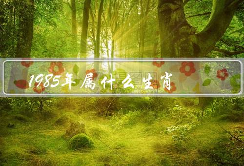 1985年属什么生肖，特点、性格、职业发展