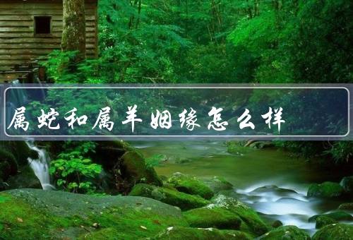 属蛇和属羊姻缘怎么样（相似之处／互补之处／共同成长）