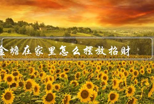 金蟾在家里怎么摆放招财，位置／方向／数量