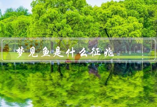 梦见鱼是什么征兆，财富和富裕／繁荣和好运／内心的渴望和情感