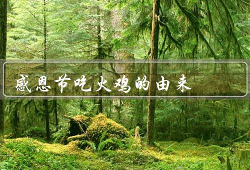 感恩节吃火鸡的由来，由来／象征意义／感恩心