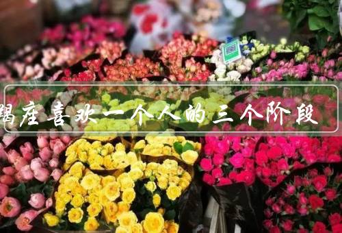 摩羯座喜欢一个人的三个阶段（观察阶段、内心波动阶段）