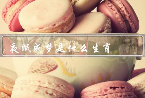 夜眠成梦是什么生肖（丰富多彩／善良心性相关／财富有关）
