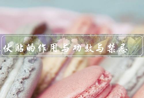 三伏贴的作用与功效与禁忌，作用与功效、禁忌、小结