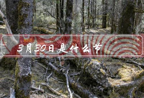 3月30日是什么节，起源／习俗／意义