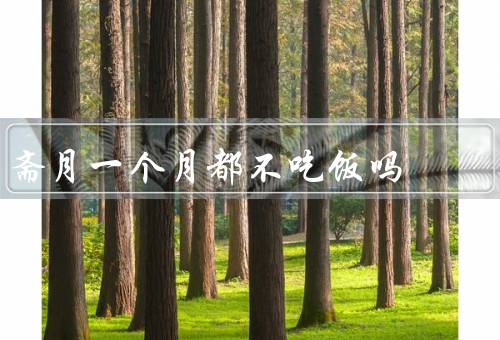 斋月一个月都不吃饭吗，由来、禁食规则、意义