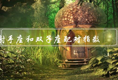 射手座和双子座配对指数，理解对方、共同兴趣、相互补足