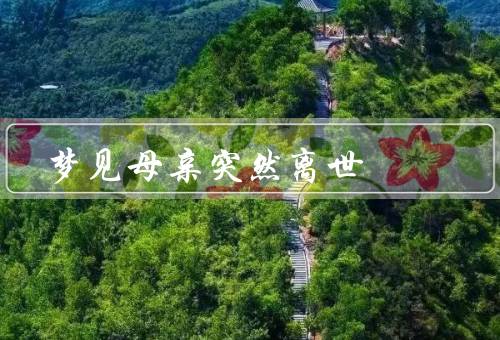 梦见母亲突然离世，梦中的母亲／梦境中的离别／梦醒后的感悟