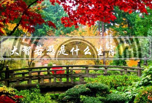 大智若愚是什么生肖，属猪的人特点／启示
