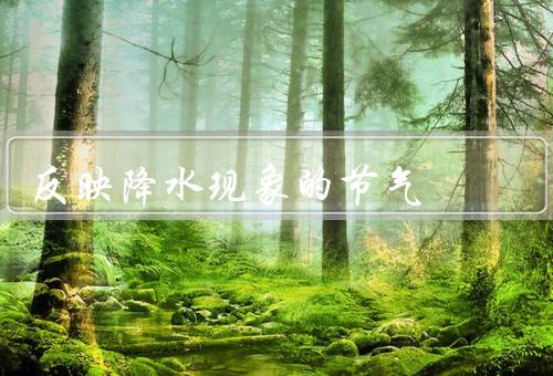 反映降水现象的节气，立春／雨水／惊蛰